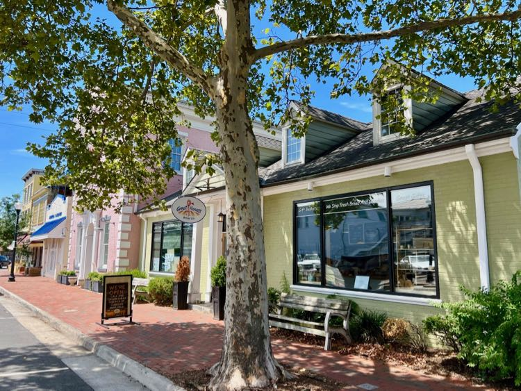 Charming downtown Herndon street with local shops, trees, and a sunny brick sidewalk